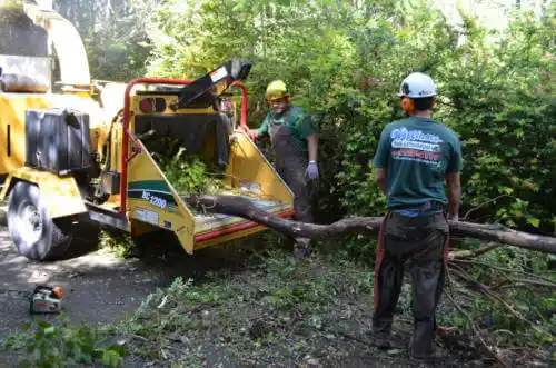 tree services Crystal River